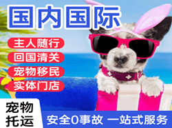 遥墙空运地址国际宠物托运 【国